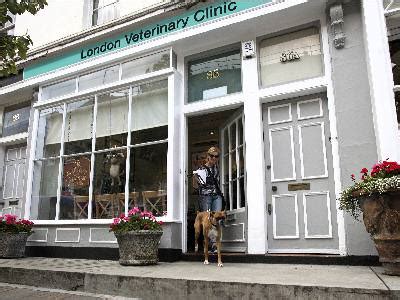London Veterinary Clinic